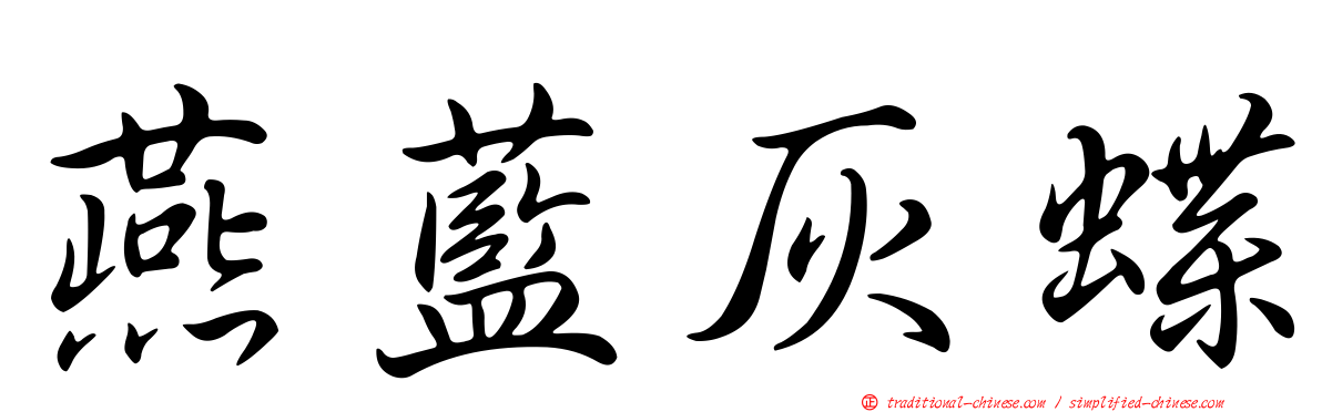 燕藍灰蝶