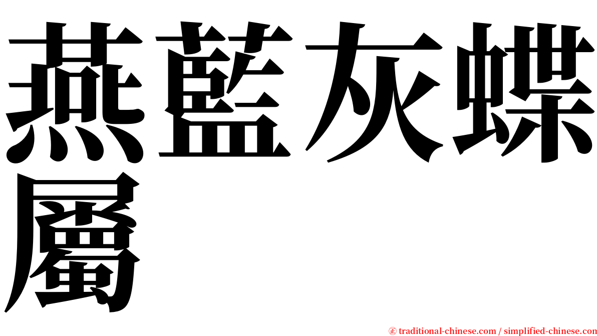 燕藍灰蝶屬 serif font