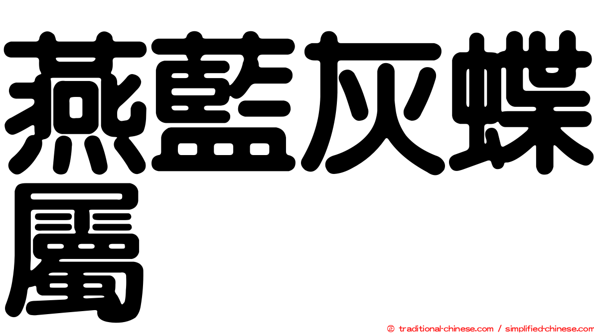 燕藍灰蝶屬