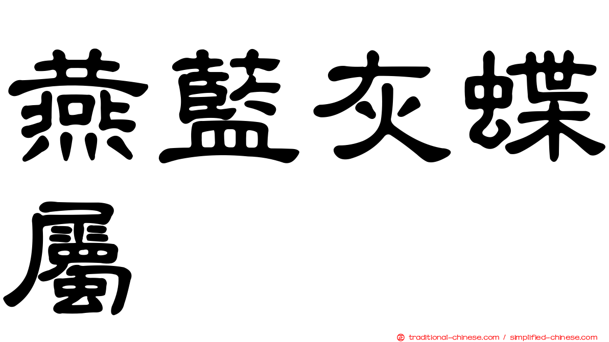 燕藍灰蝶屬