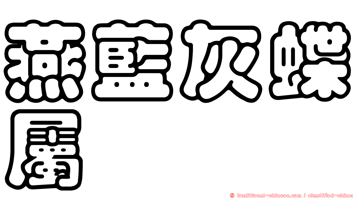 燕藍灰蝶屬