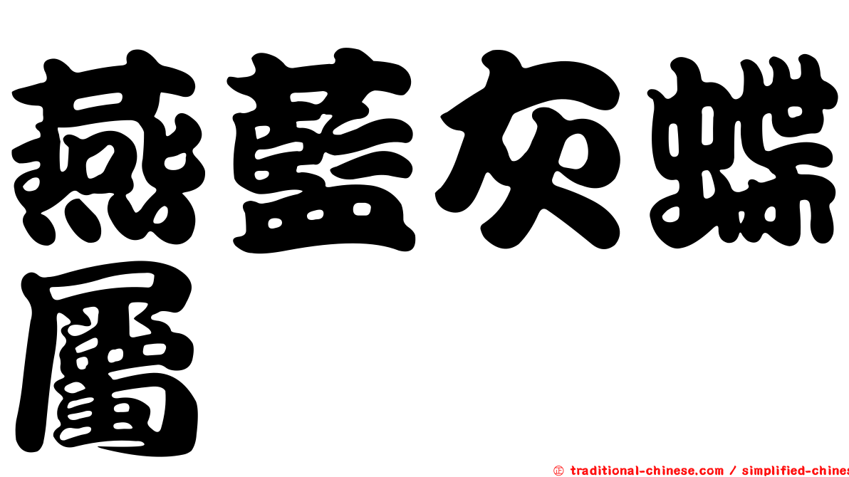 燕藍灰蝶屬