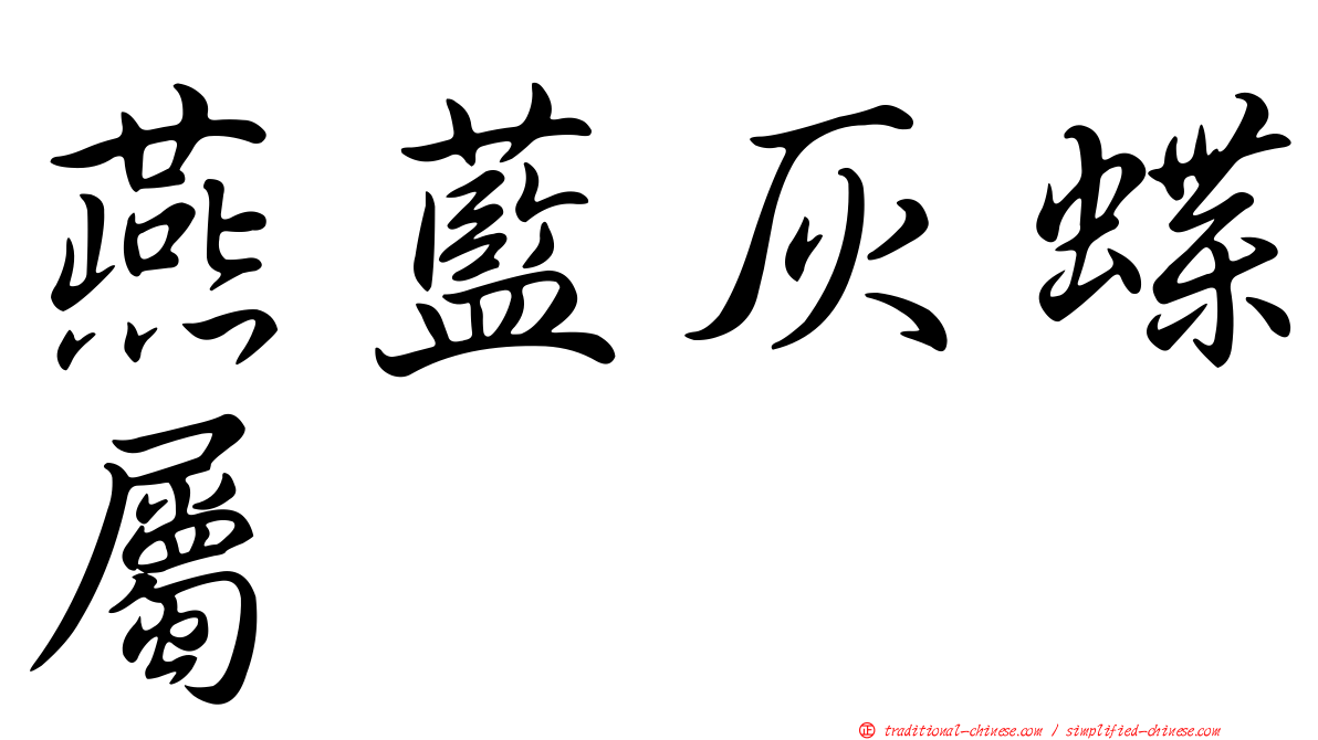 燕藍灰蝶屬