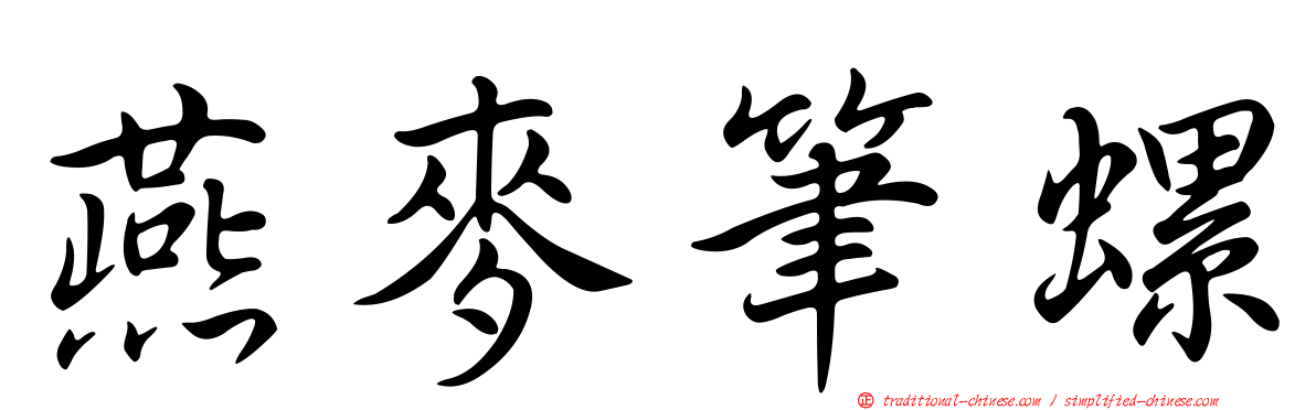 燕麥筆螺