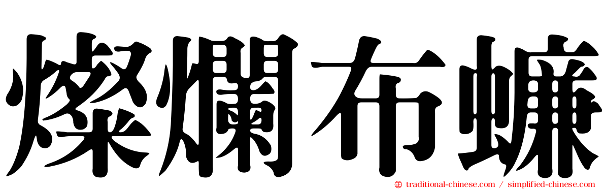 燦爛布蠊