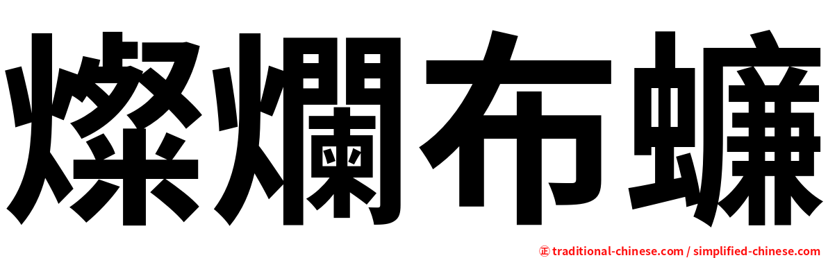 燦爛布蠊