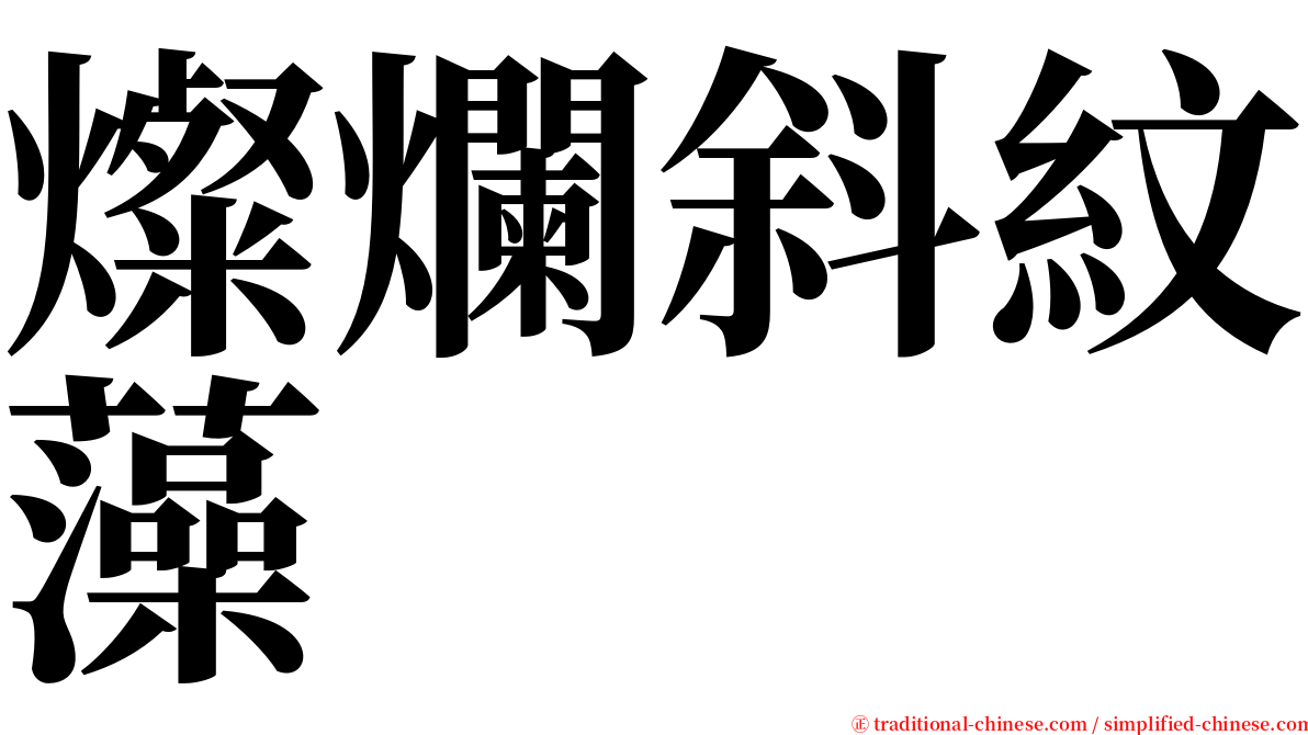 燦爛斜紋藻 serif font