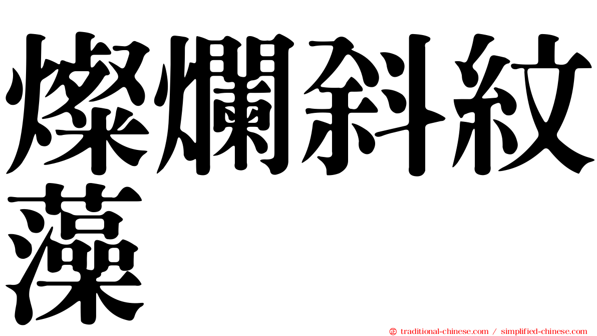 燦爛斜紋藻