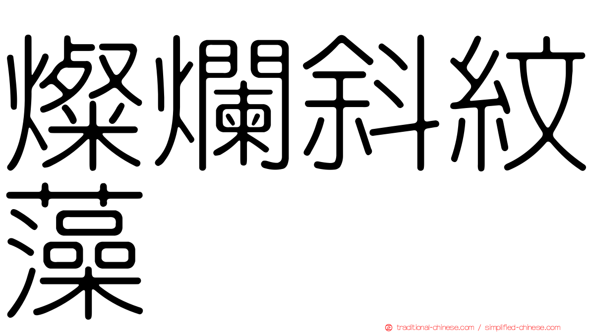 燦爛斜紋藻