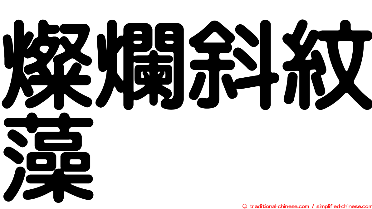 燦爛斜紋藻