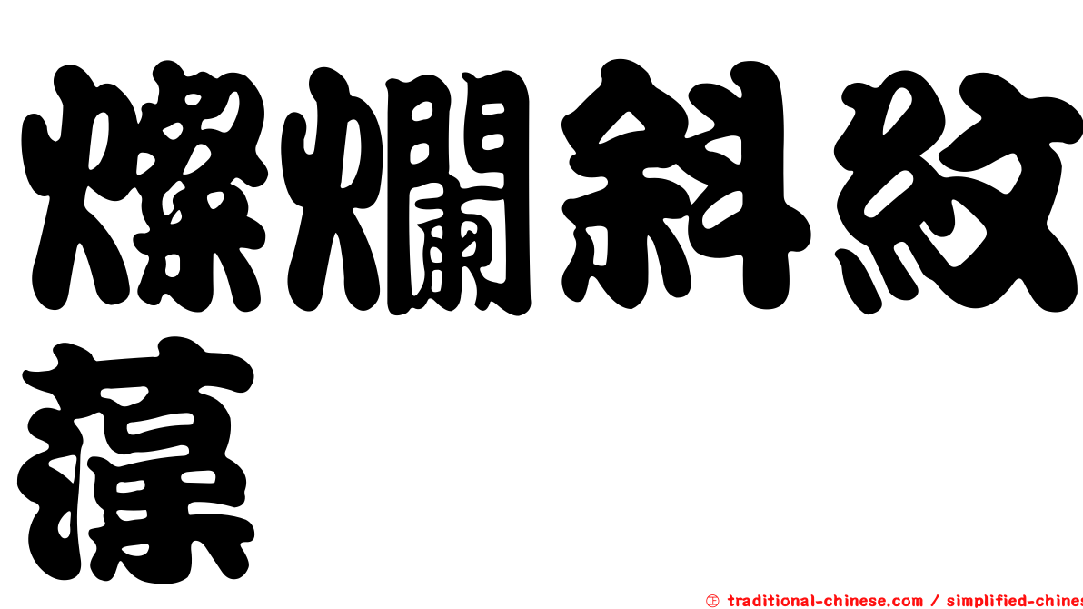 燦爛斜紋藻