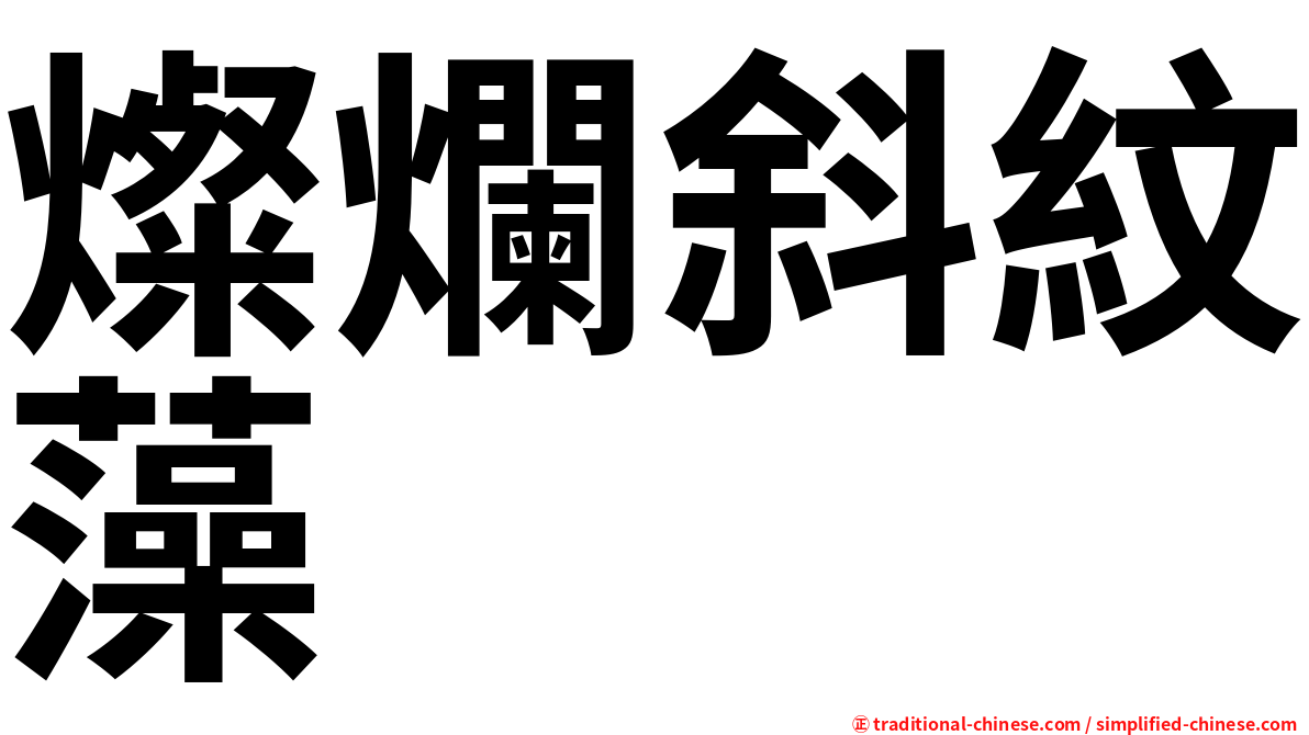 燦爛斜紋藻