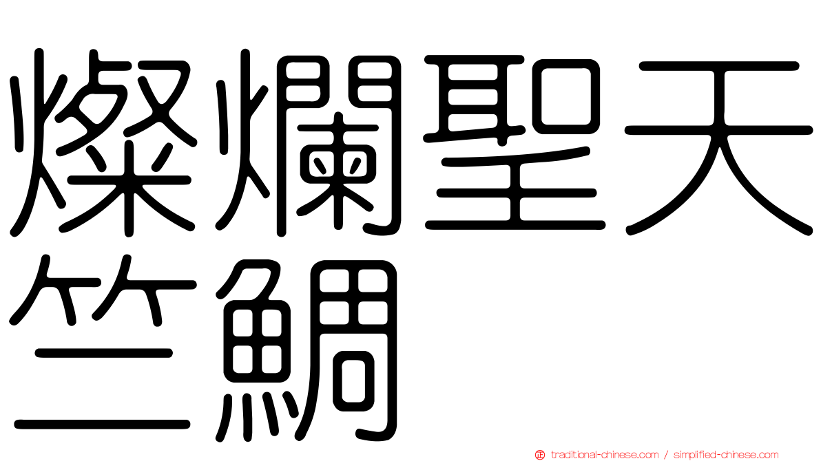 燦爛聖天竺鯛
