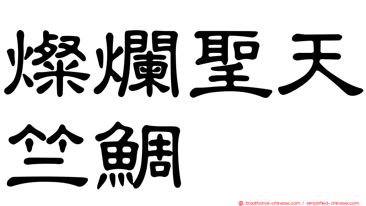 燦爛聖天竺鯛