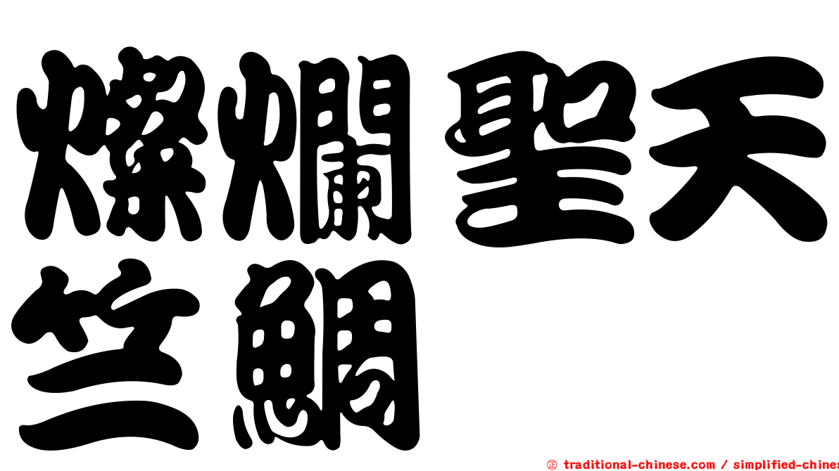 燦爛聖天竺鯛