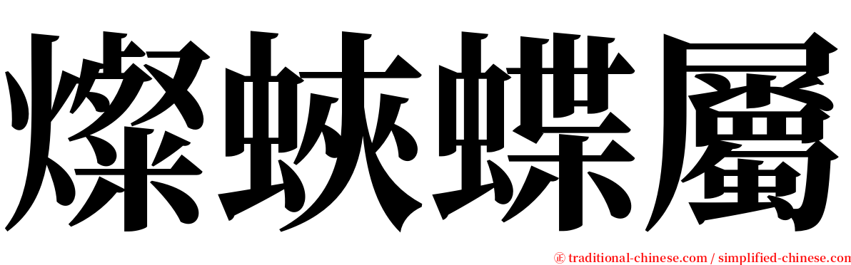 燦蛺蝶屬 serif font