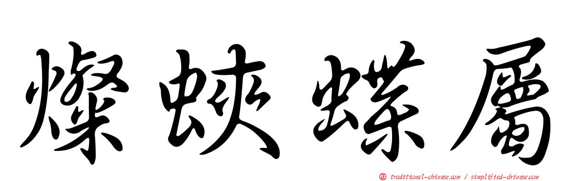 燦蛺蝶屬