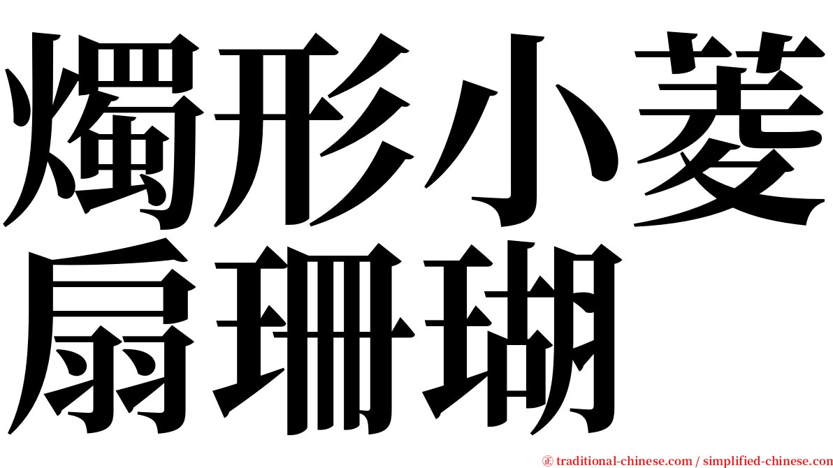 燭形小菱扇珊瑚 serif font