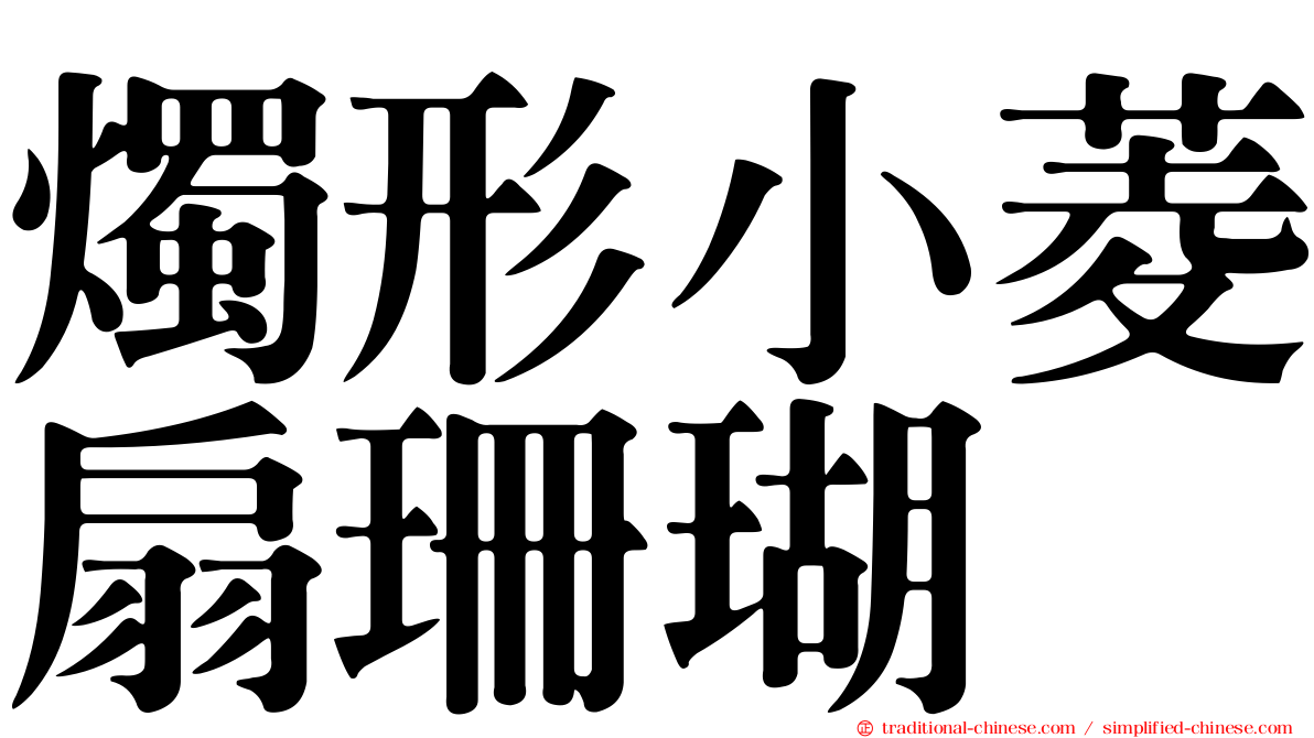 燭形小菱扇珊瑚