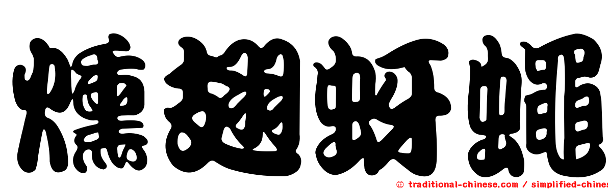 燻翅蚜蠅