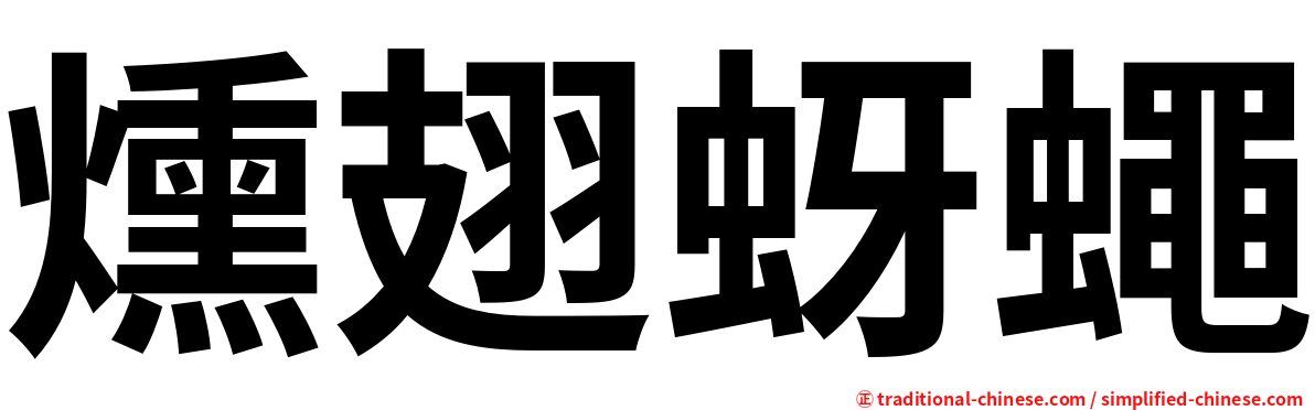燻翅蚜蠅