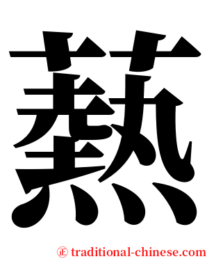 爇 serif font
