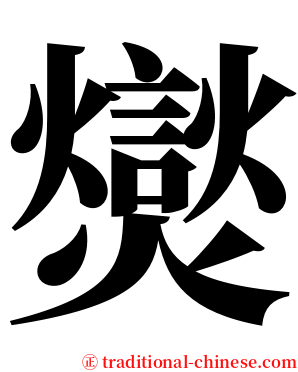 爕 serif font