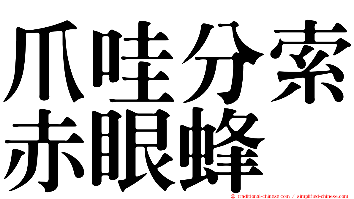 爪哇分索赤眼蜂