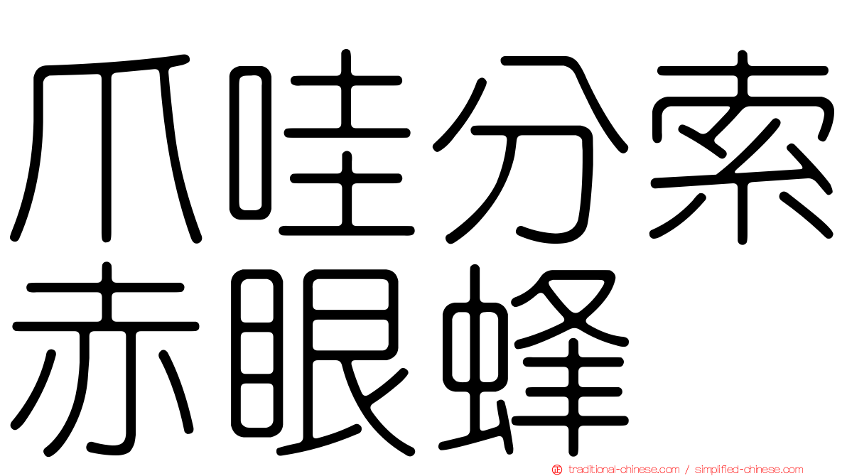 爪哇分索赤眼蜂