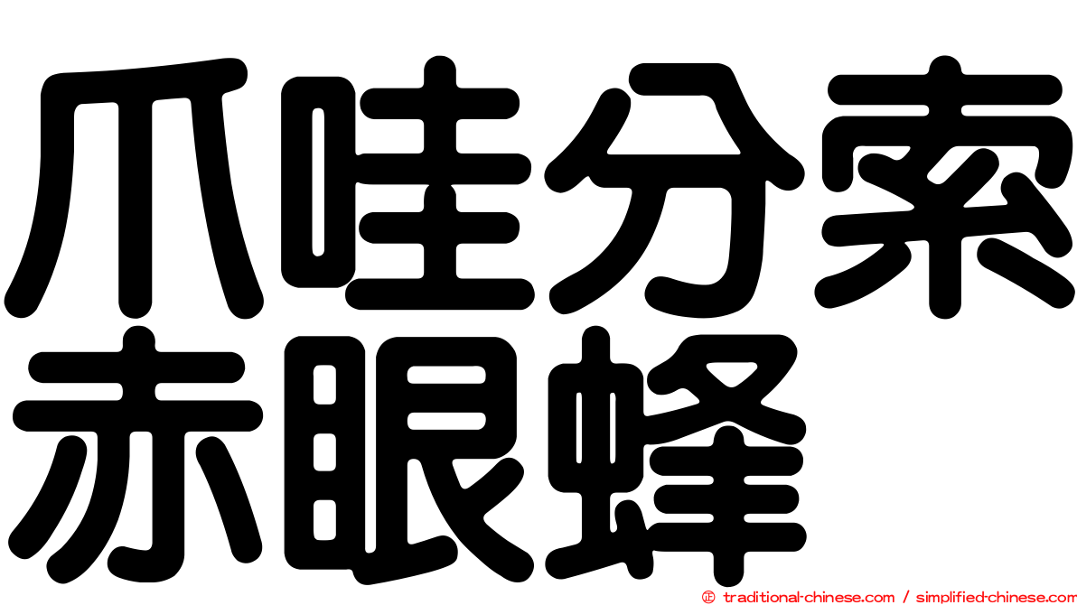 爪哇分索赤眼蜂
