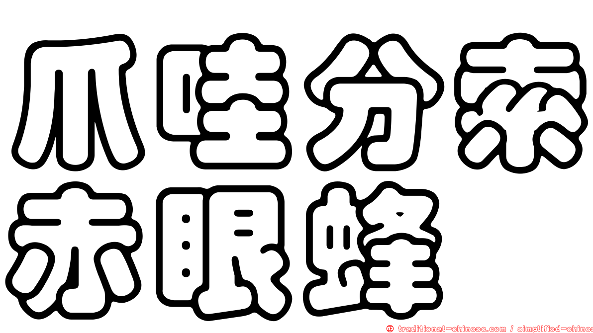 爪哇分索赤眼蜂