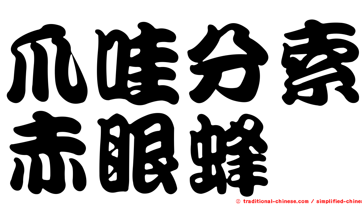 爪哇分索赤眼蜂