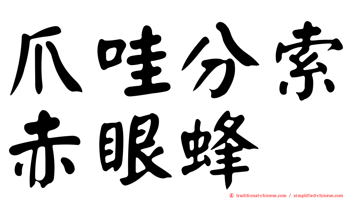 爪哇分索赤眼蜂