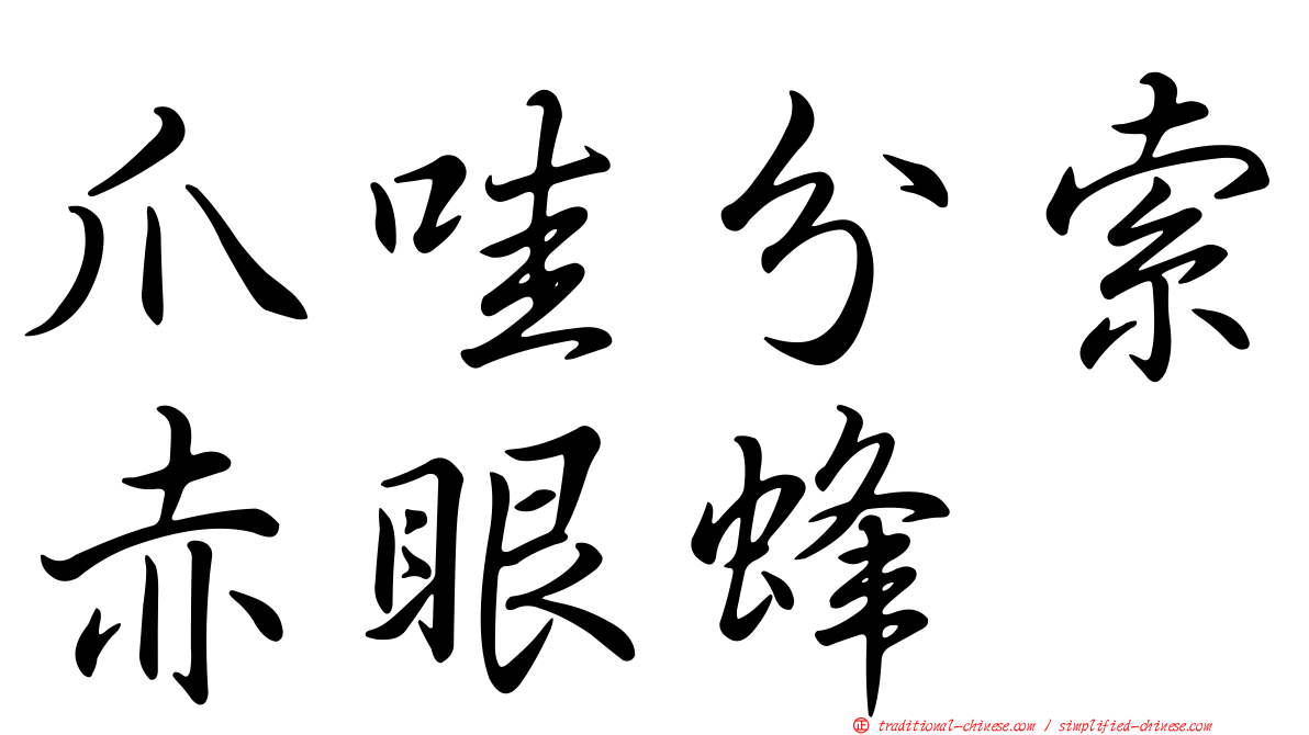 爪哇分索赤眼蜂