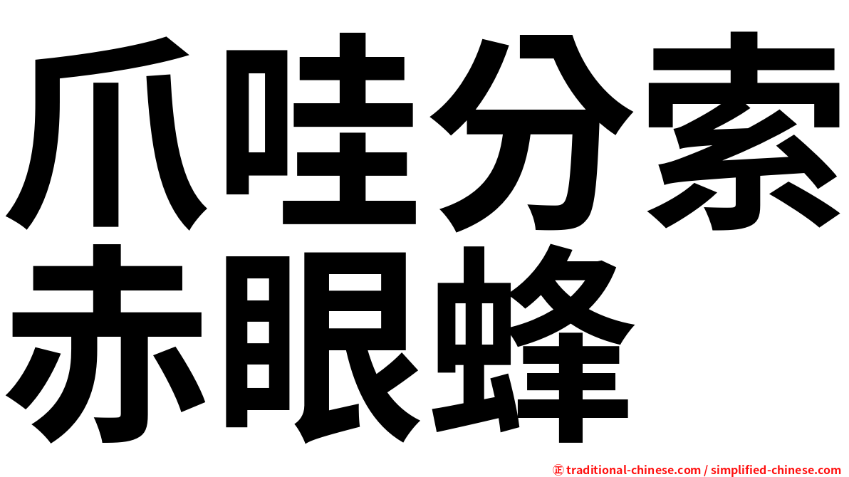 爪哇分索赤眼蜂