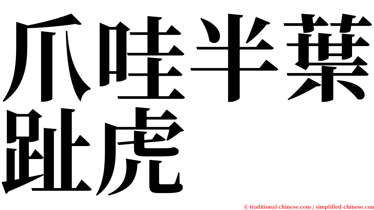 爪哇半葉趾虎 serif font