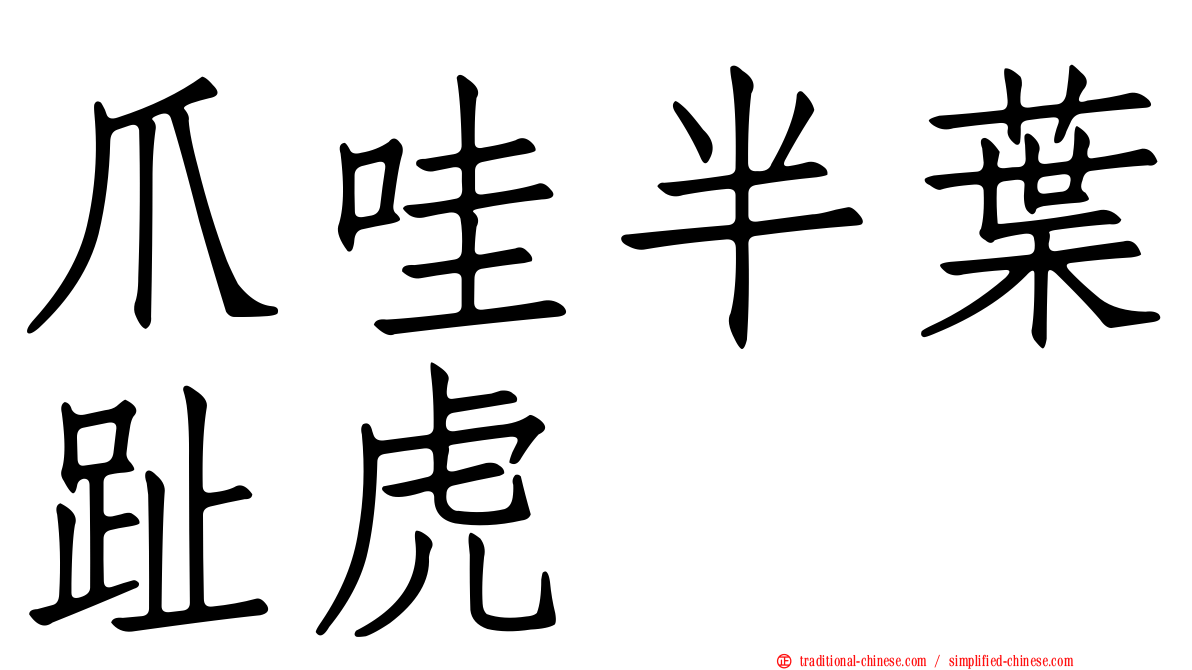 爪哇半葉趾虎