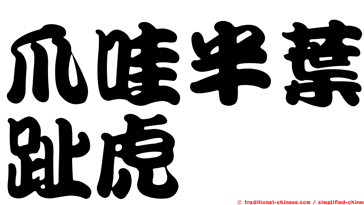爪哇半葉趾虎