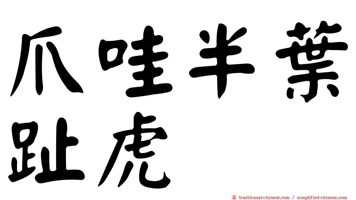 爪哇半葉趾虎