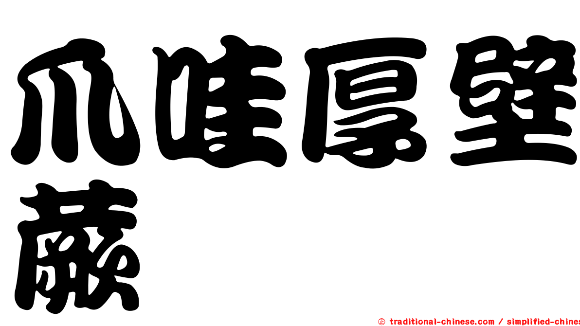 爪哇厚壁蕨