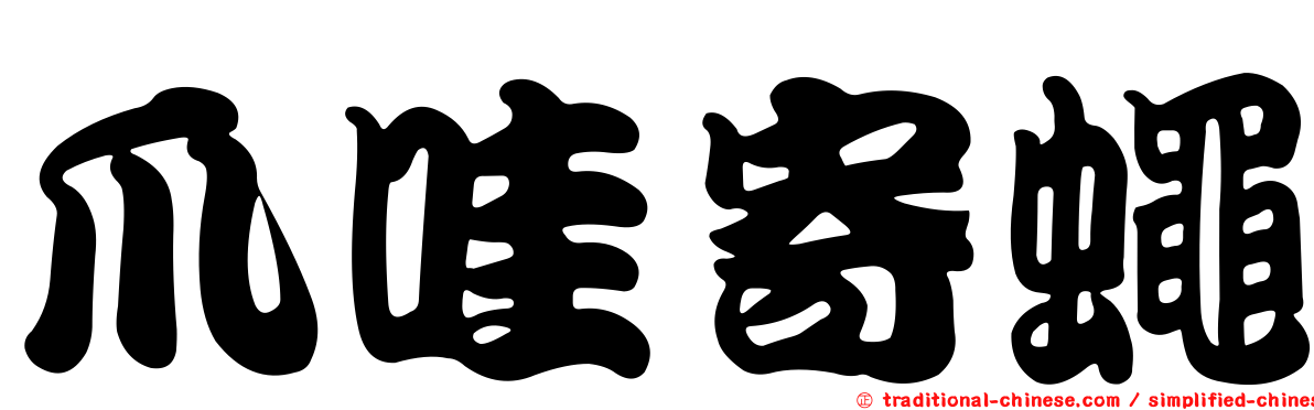 爪哇寄蠅