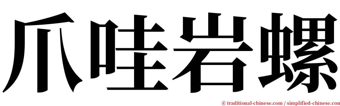 爪哇岩螺 serif font