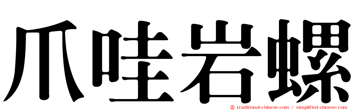 爪哇岩螺