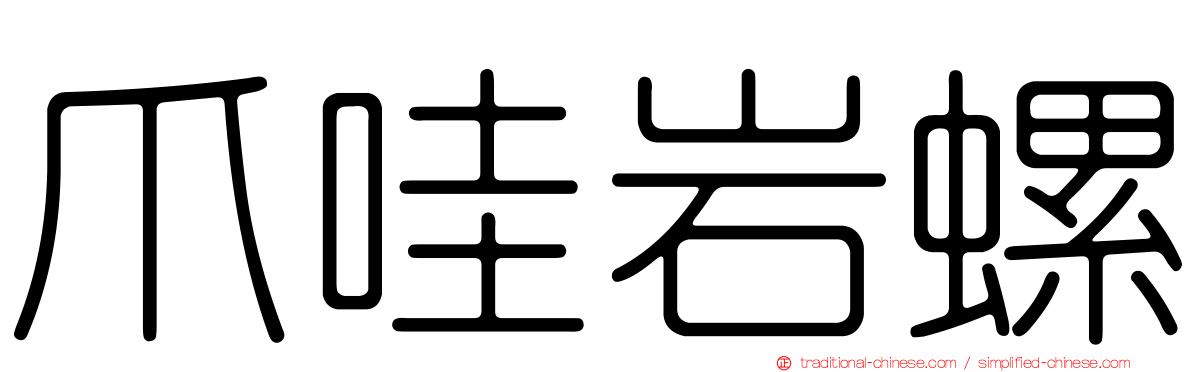 爪哇岩螺