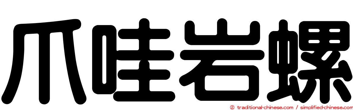 爪哇岩螺