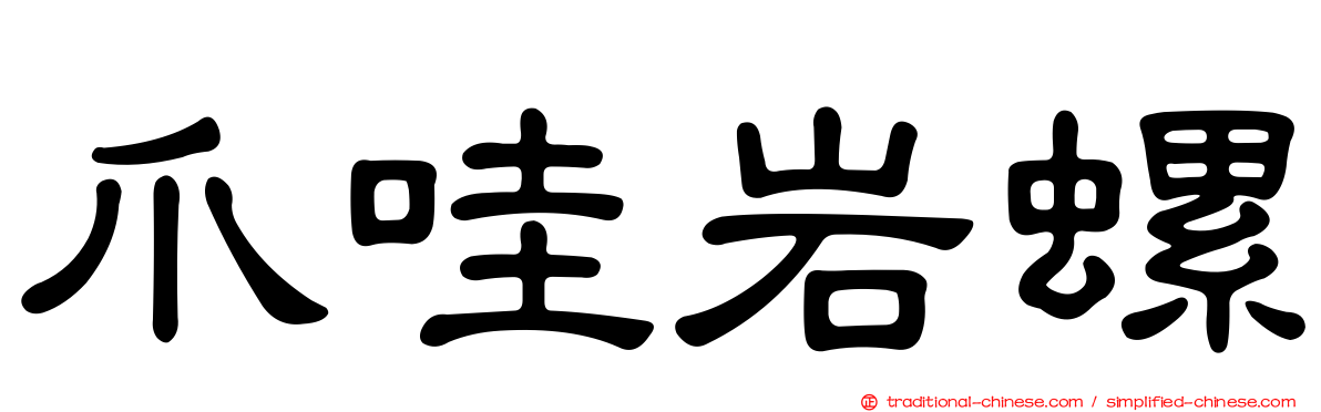 爪哇岩螺