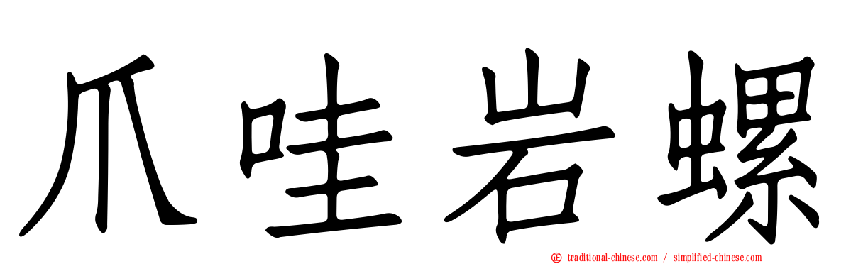 爪哇岩螺