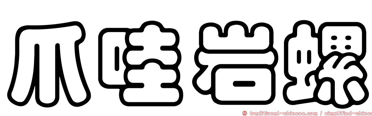 爪哇岩螺