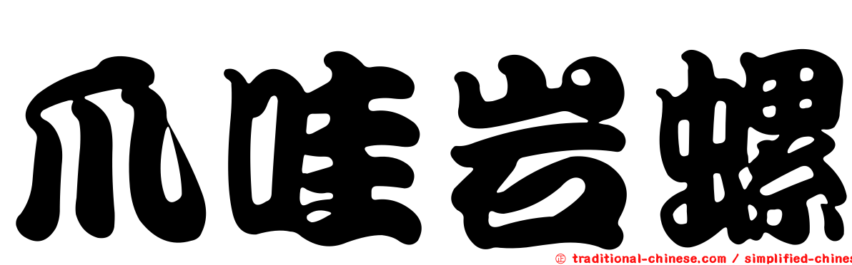 爪哇岩螺