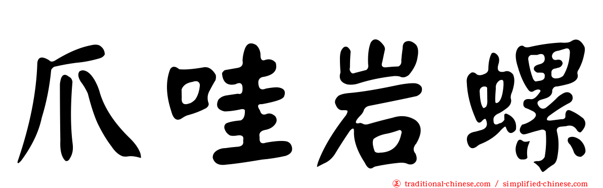爪哇岩螺